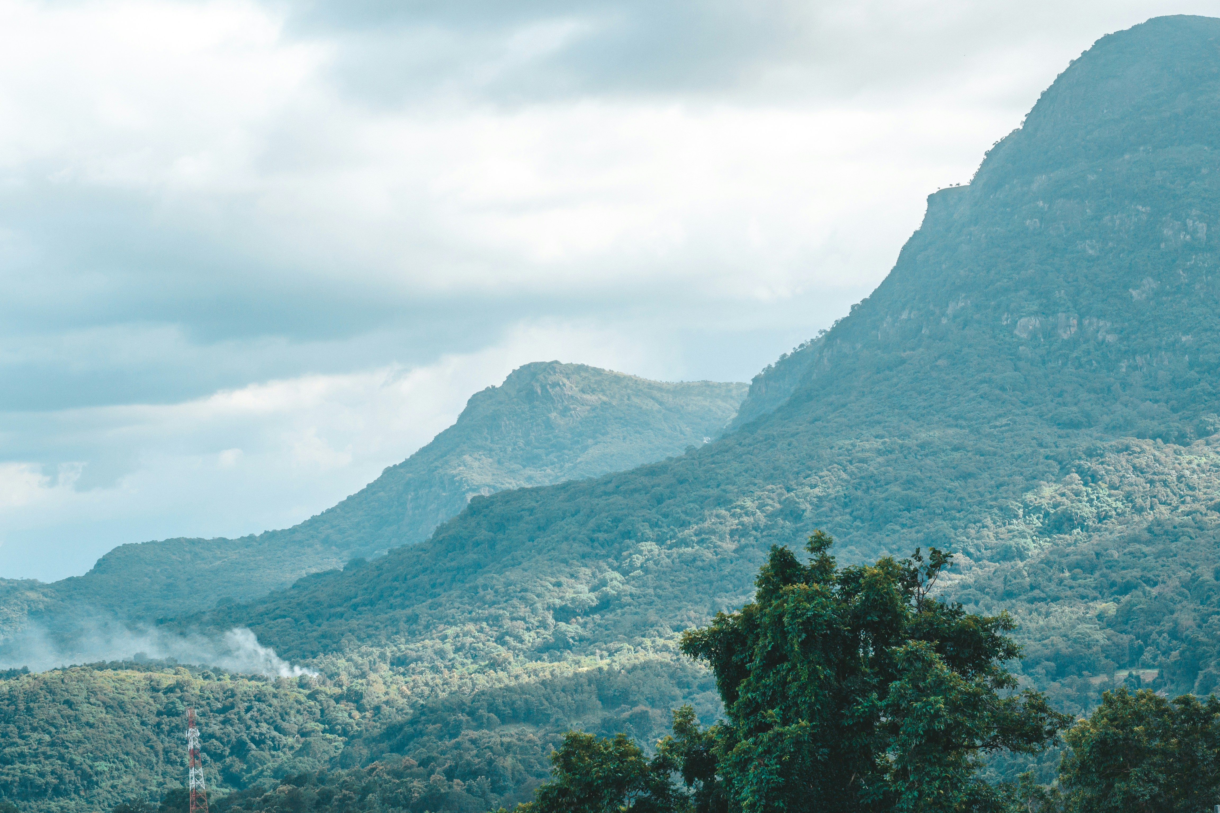 A peaceful walk through the Ella Forest, Sri Lanka