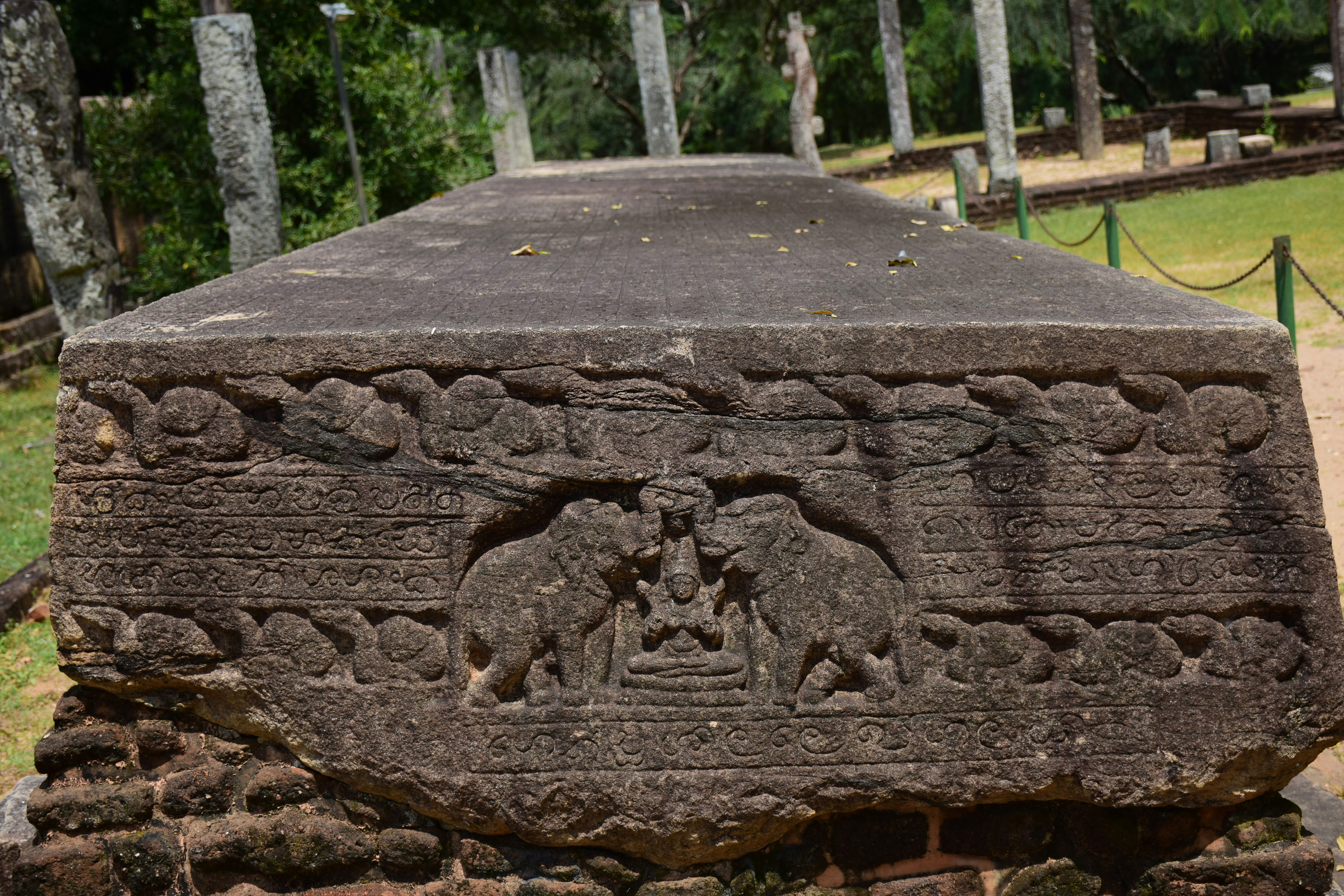 Wasgamuwa Nationalpark nahe Polonnaruwa, Sri Lanka – Naturerlebnis